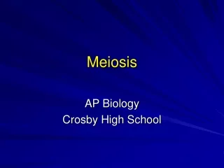 Meiosis