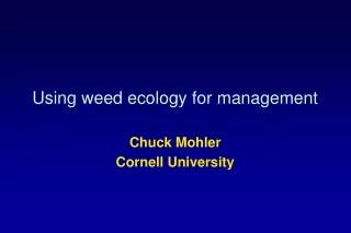 Using weed ecology for management