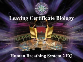 Human Breathing System 2 EQ