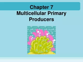 Chapter 7 Multicellular Primary Producers