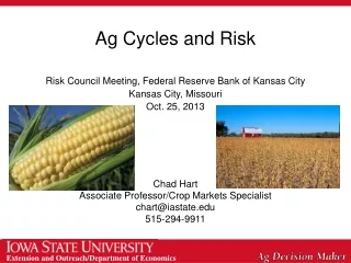 Ag Cycles and Risk