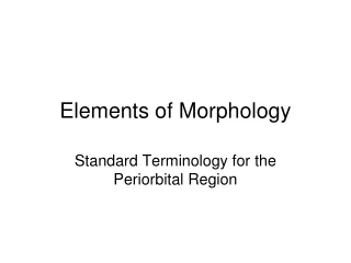 Elements of Morphology