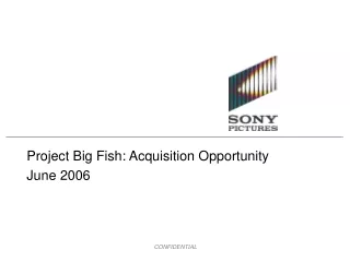 Project Big Fish: Acquisition Opportunity June 2006