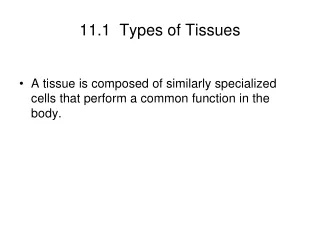 11.1  Types of Tissues