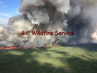 B.C. Wildfire Service