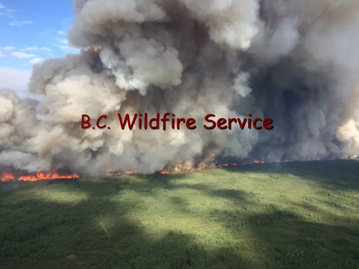 b c wildfire service