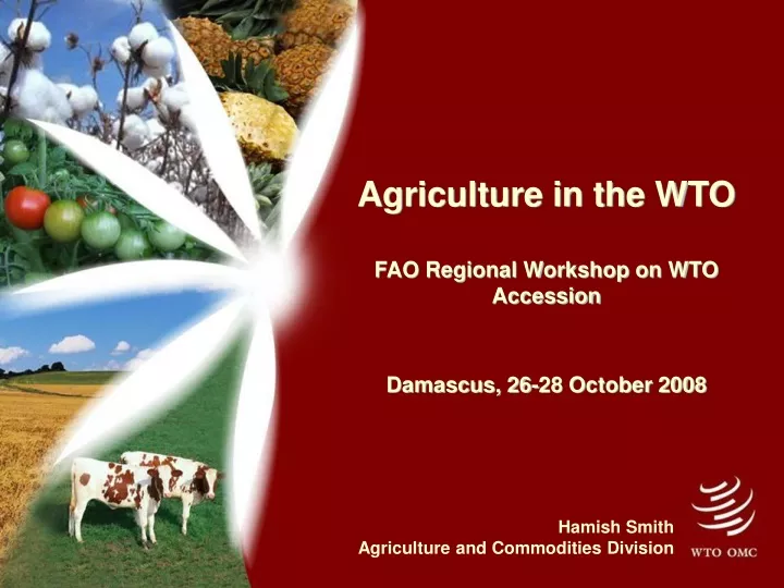 agriculture in the wto fao regional workshop on wto accession damascus 26 28 october 2008