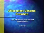 Chloroplast Genome Evolution - slide 1