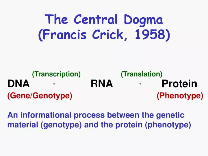 the central dogma francis crick 1958