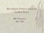 Bloodstain Pattern Analysis  Guided Notes