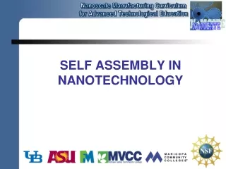 Self Assembly in Nanotechnology