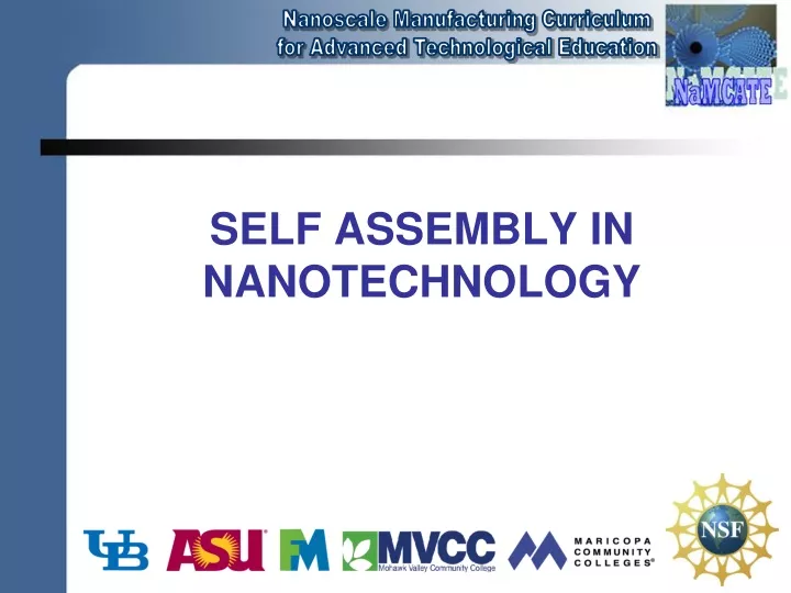 self assembly in nanotechnology