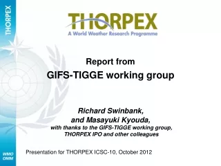 Report from  GIFS-TIGGE working group