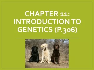 Chapter 11:  Introduction to Genetics (p.306)