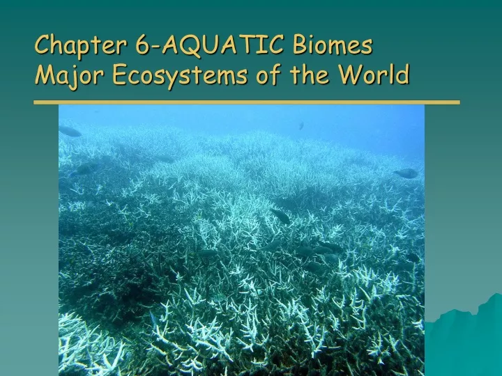 chapter 6 aquatic biomes major ecosystems of the world