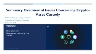 Summary Overview of Issues Concerning Crypto-Asset Custody