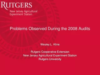 Problems Observed During the 2008 Audits