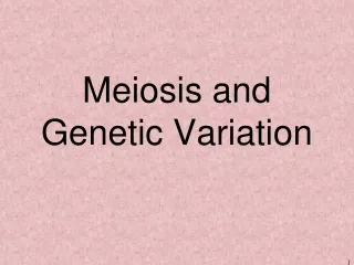 Meiosis and Genetic Variation