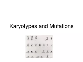 Karyotypes and Mutations