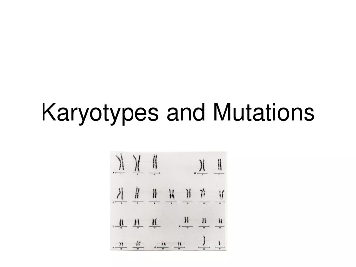 karyotypes and mutations
