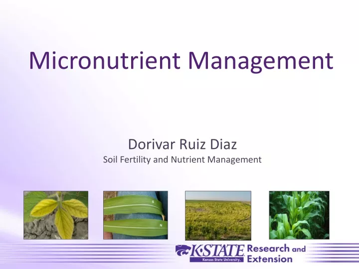 micronutrient management