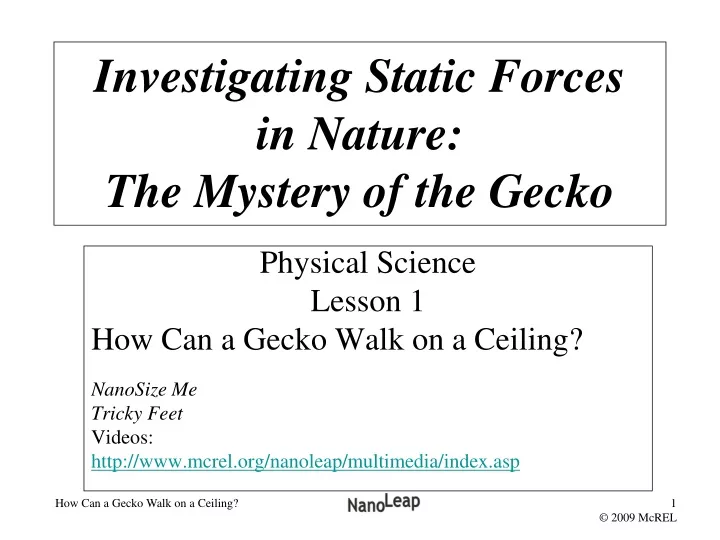 investigating static forces in nature the mystery of the gecko