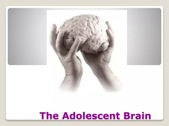 the adolescent brain