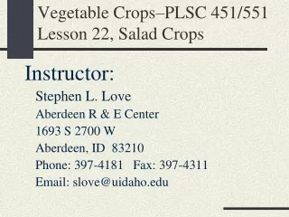 Vegetable Crops–PLSC 451/551 Lesson 22, Salad Crops