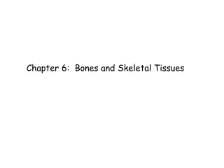 Chapter 6:  Bones and Skeletal Tissues