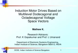 Induction Motor Drives Based on Multilevel Dodecagonal and Octadecagonal Voltage Space Vectors