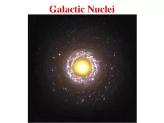 Galactic Nuclei