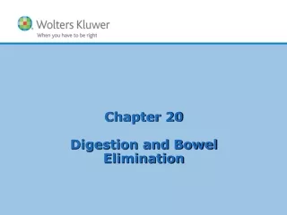 Chapter 20 Digestion and Bowel Elimination
