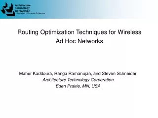 Routing Optimization Techniques for Wireless Ad Hoc Networks