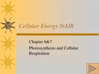 Cellular Energy StAIR