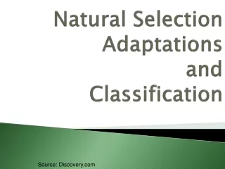 Natural Selection Adaptations and Classification