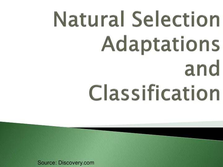 natural selection adaptations and classification