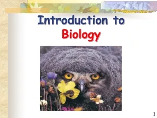 Introduction to  Biology