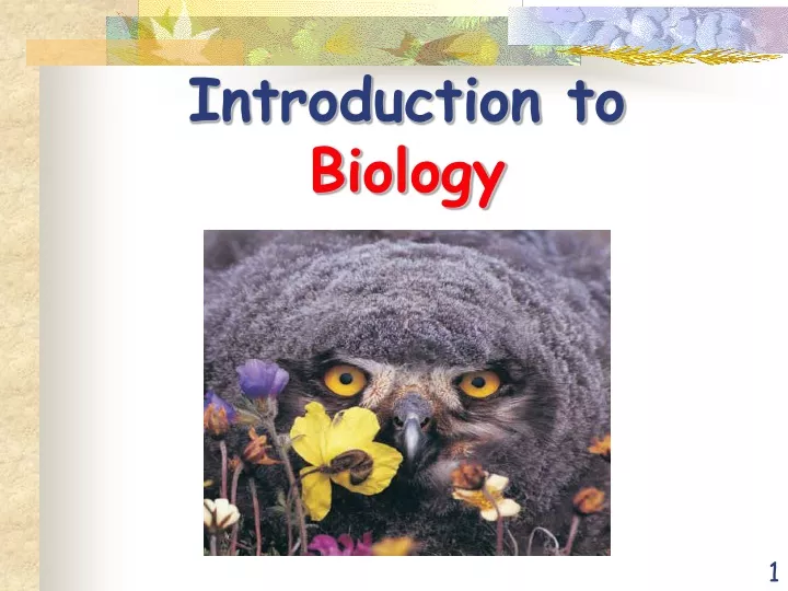 introduction to biology