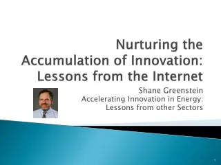 Nurturing the  Accumulation of Innovation:  Lessons from the Internet