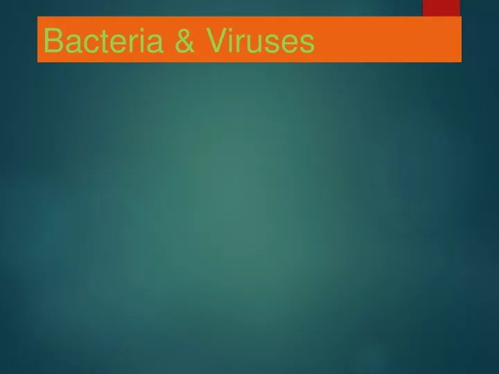 bacteria viruses