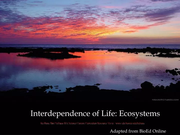 interdependence of life ecosystems