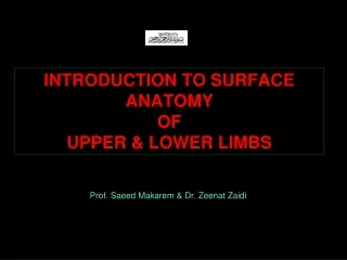 Introduction to Surface Anatomy of  upper &amp; lower limbs