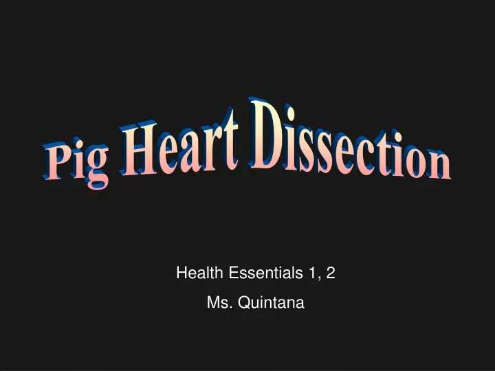 pig heart dissection