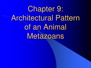 Chapter 9: Architectural Pattern of an Animal Metazoans