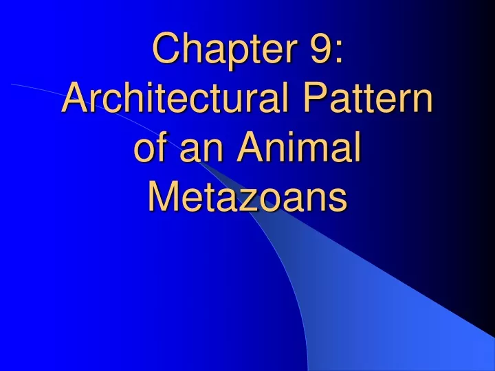 chapter 9 architectural pattern of an animal metazoans