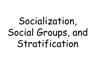 Socialization, Social Groups, and Stratification