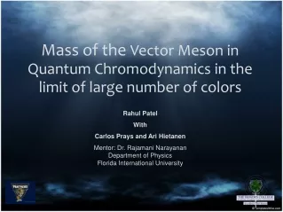 Mass of the  Vector Meson in Quantum Chromodynamics in the limit of large number of colors