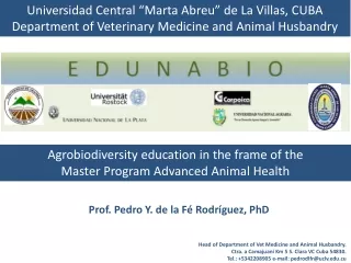 Prof. Pedro Y. de la F é  Rodríguez, PhD