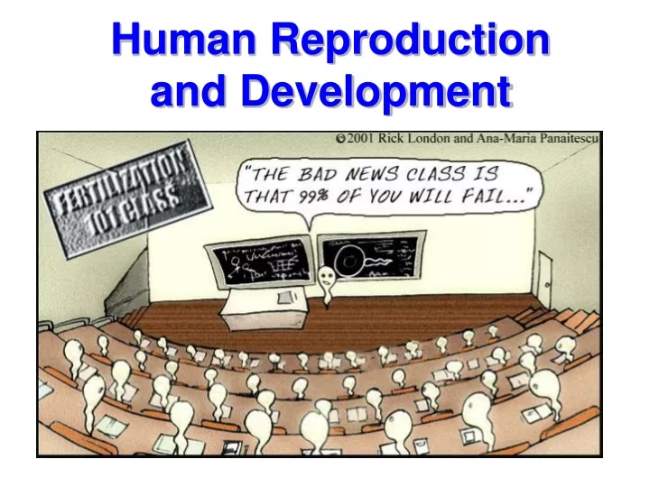 human reproduction and development