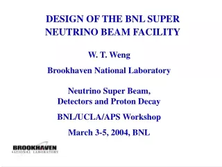 DESIGN OF THE BNL SUPER NEUTRINO BEAM FACILITY
